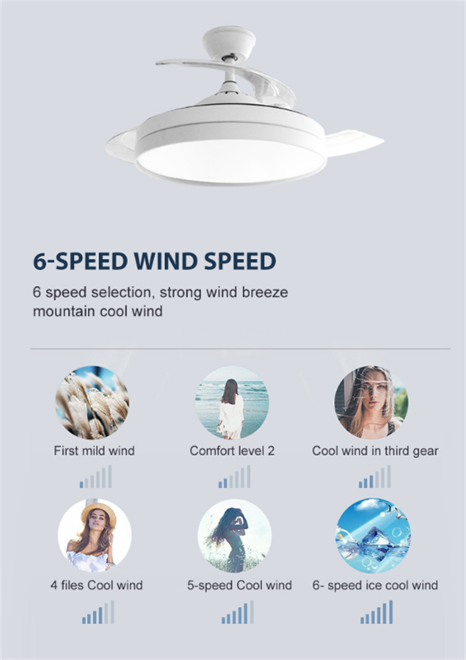 News - 2022 New LED Fan Light – Pioneer Series